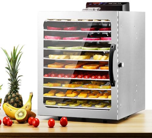 10 Plateaux Déshydrateurs Alimentaires Déshydrateur Alimentaire Machine À Fruits Séchés Avec Minuterie Et Contrôle De La Température Séchoir Alimentaire Acier Inoxydable Machine De Séchage De Fruits