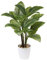 Kunstpflanze Dieffenbachia Pflanzen Gefälschte Pflanzen 63CM Kunstpflanze Groß im Topf Deko für drinnen und draußen, Moderne Dekoration, Dekoration Badezimmer Wohnzimmer Schlafzimmer Balkon