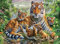 Puzzle 5000 Teile Tiger Indoor Puzzle