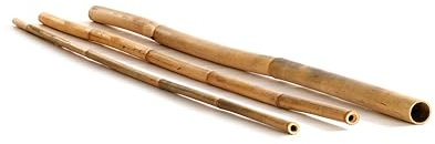 Nature LOUNGE Goldener Aurea Bambus Ø 3-4 cm x L: 200 cm - Bambusrohr Bambusstangen als Bauholz oder Dekoration