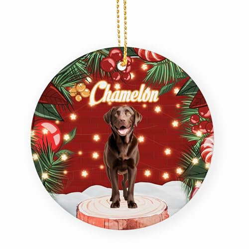 Keramik Weihnachtsbaum-Anhänger Brauner Labrador Weihnachtsbaumschmuck Witzige Weihnachtsbaum Deko Runde Weihnachten Baum Hängen Anhänger Für Wohnzimmer Weihnachtsbaum Restaurants