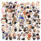 63 Stück Labub Sticker Kinder, Anime Sticker Kawaii Sticker, Wasserfester Vinyl Aufkleber für Laptop Scrapbook Skateboard Motorrad