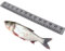 LUMINFLY Mètre ruban de pêche marine, règle de poisson en mousse EVA de 91,4 cm avec dos autocollant