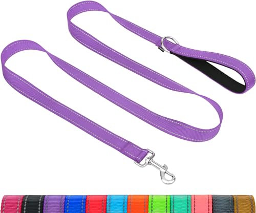 Taglory Hundeleine Mittelgroße Große Hunde Leicht | Doppelseitig Reflektierend | Gepolsterter Griff | Unterstützung 10 bis 75 kg | 1.8m x 2.5cm | Lila