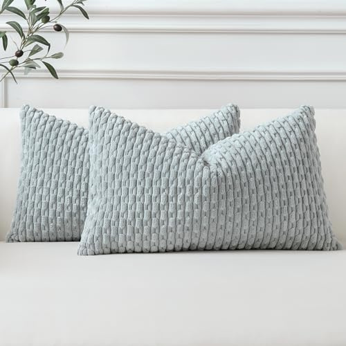 Sungeek 2er Set Kordsamt Kissenbezüge, Dekorativ Zierkissenbezüge Weich Kissenbezug Dekokissen Sofakissen Boho Deko Bezug Kissenhülle für Sofa Schlafzimmer Wohnzimmer (30x50 cm, Hellgrau)