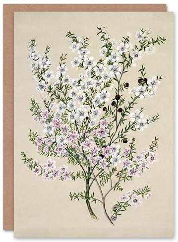 Artery8 Sarah Featon Art Card New Zealand Manuka Flowering Plant