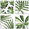 ARTLAND Wanddeko Blumenbilder Leinwand Bilder Set 4tlg. je 40x40 cm Quadratisch Wandbilder Natur Blätter Blätter Modern Boho J4JY