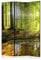 RAUMTEILER/PARAVENT B&D XXL Raumteiler Wald Baum Natur Foto Paravent 135x172 cm beidseitig auf Vlies-Leinwand Bedruckt Trennwand Spanische Wand Sichtschutz Raumtrenner Home Office grün c-B-0183-z-b