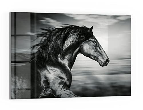 DEQORI Glas-Magnettafel | 60x40 cm groß | Motiv Galoppierendes Pferd | Memo-Board aus Glas | Magnetboard inkl. Magnete, Stift & Tuch für Küche & Büro | Tafel magnetisch & beschreibbar