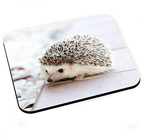 Tapis de Souris Herisson Blanc Mignon Animaux de Jardin Nature Sauvage