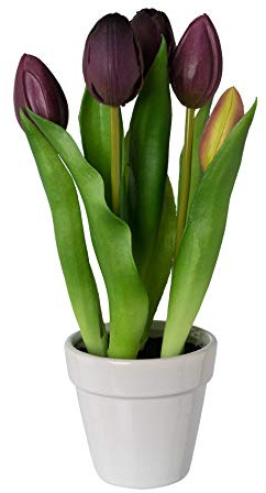 creativ home Kunstpflanze, Blume TULPE 25cm. Im Keramiktopf weiß. REAL Touch Tulpen getopft. Lila, violett, Purple