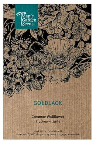 Goldlack (Erysimum cheiri) 300 Samen beliebte Duftpflanze aus dem Mittelalter Schnittblume gute Futterpflanze für Bienen mehrjährige Staude