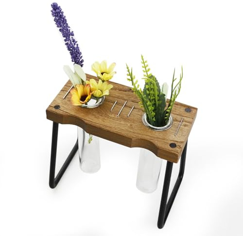 Zimmergewächshaus | Tischterrarium mit Halterung aus Holz, transparenter Pflanzbehälter, Dekoration für Haus, Büro, Fensterbank oder