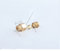 Hose Adapter,Tap Connector,5PCS Compression Ferrule Tube Compression Fitting 4-8mm OD Tube Connector Machine Tool Lubrication Brass Oil Pipe Fitting Adapter-M8 6MM