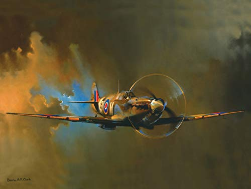 Harvesthouse Blechschild Spitfire Vintage Funny Home Decor Blechschild Retro Metall Poster 30,5 x 40,6 cm