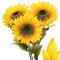 Briful Künstliche Sonnenblumen Groß Kunstblumen Dekorative Seidenblumen Kunstpflanzen Sunflowers für Hochzeit Party Tischdeko Dekoration 3 Stücke