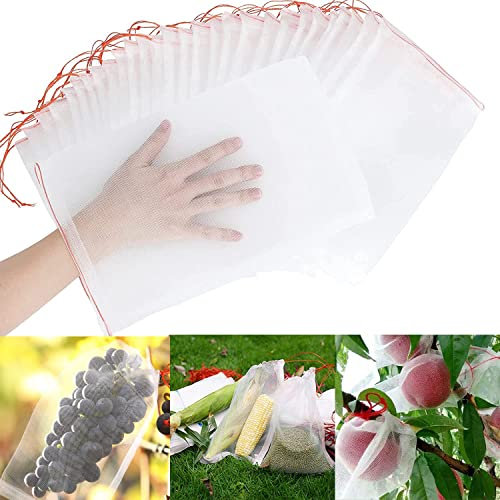 60 Stück Obst Schutzbeutel mit Kordelzug, Insekten Mückennetz Absperrbeutel Trauben-Schutzbeutel Garten Netz Beutel Organzabeutel zum Schutz von Pflanzen Frucht Blumen Gemüse, 15x25cm