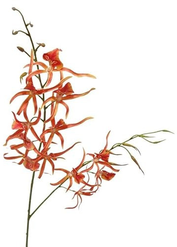 HXSCOO Künstliche Blumen Innen Wohnzimmer Dekoration Orchidee Spinne Orchidee Modell Zimmer Hotel Hochzeit Gefälschte Blumen(Orange)