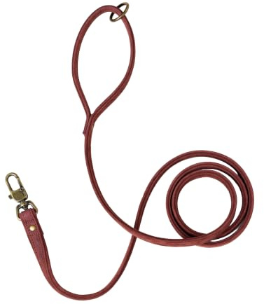 Peluvio Regent Leder Hundeleine 1,7 m, Größe M, 2 cm breit, Führleine aus | Rindsleder, Karabiner mit Sicherung, Kupferbeschläge, verstärkte Nähte