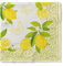 Sovie HORECA Serviette Nancy Tissue-Servietten 40x40 cm saugstarke und hochwertige Einweg-Servietten ideal für & Feiern im Frühling & Sommer | 100 Stück