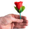 SOLOMAGIA Roses from Nothing - Close-Up Magic - Zaubertricks und Props