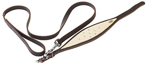 Dingo Waldemar Rutkowski Weiches Leder XXL Set: Hundehalsband + Klassische Leine S10026, braun