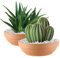 Laerjin Lot de 2 Grands Pots de Fleurs Ronds en Terre Cuite pour Plantes avec Trou de Drainage, 22 cm