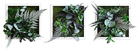 styleGREEN Pflanzenbild im Dschungeldesign 22x22cm 3er Set