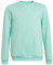 adidas Mixte Enfant Entrada 22 Sweat Top, Clear Mint, 7-8 Years