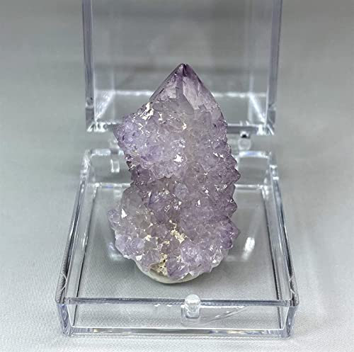 FUDGIO Amethyst Rough Stein 100% natürlicher Südafrika Kaktus Amethyst Spirit Quarz Kristall Cluster Kristalle Heilung Quarz (Color : Style 2)