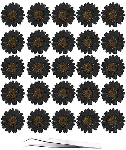 YoothBro 60 Stück Schwarze Getrocknete Gänseblümchen 60 Stück Echte Blumen aus der Natur für Harz DIY Schmuck Kerze Seife Vase Herstellung Nagelkarte Scrapbook Kunsthandwerk Blumendekorationen