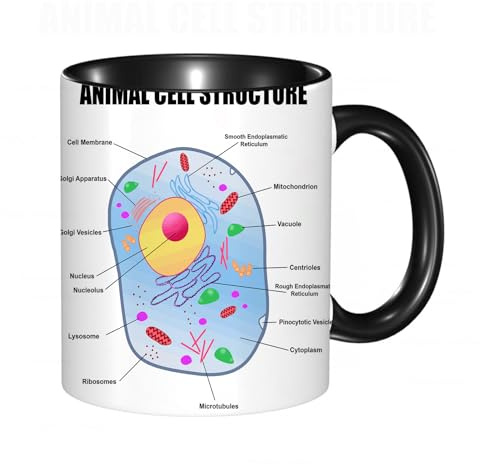 HRRASFAZF Tasse Kaffeetassen,Große 330ml Mit Henkel 100% Handbemalt kaffeebecher porzellan,Lehrreich, Mikrobiologie Thema: Struktur tierischer Zellen,Frauen,Jahrestag,Muttertag