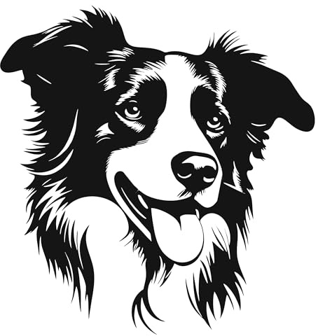 AMA SHOP Aufkleber für Hunde, Motiv: Border Collie, Modell 3, Farbe Schwarz, geeignet für Auto- und Motorradhelm, Aufkleber, 32 cm