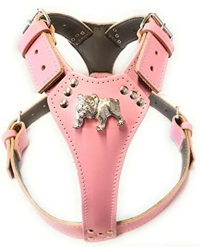 Schönes Hundegeschirr aus Leder mit Motiv Englische Bulldogge (Messingbeschläge) in Babyrosa