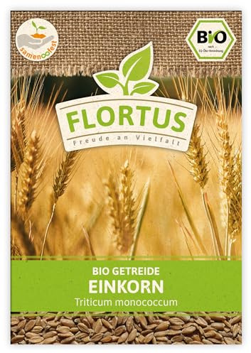 FLORTUS BIO Einkorn Getreide Samen 75g | Alte Sorten robustes Urgetreide zur Herstellung von Nudeln Brot Sauerteig & Microgreens | Sprossen Samen