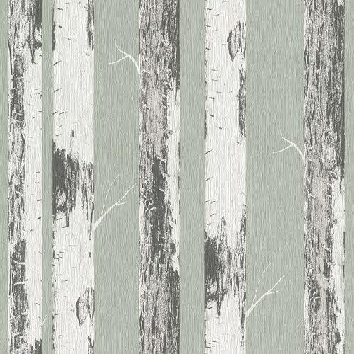 Rasch home style Tapete 285413 - Grüne Papiertapete mit Birkenstämmen, Birkenwald - 10,05m x 0,53m