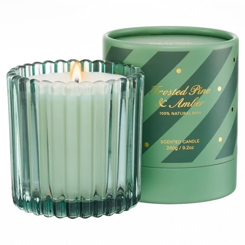M&SENSE Tannenbaum Duftkerzen im Glas Weihnachtskerzen bis zu 60 std Brenndauer Weihnachts- und Herbstgeschenke natürliches Sojawachs entspannende Aromatherapie Kerze MSSD0202 FrostedPineAmber