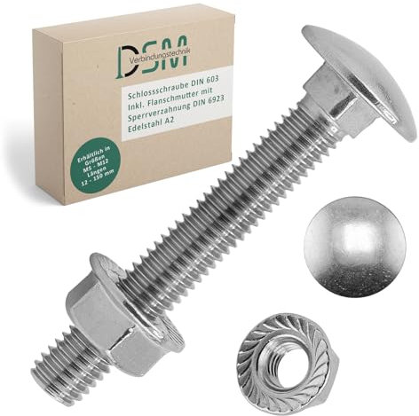 DSM - Boulon M8 x 45 mm selon DIN 603 - M8 Écrou à bride avec denture de blocage DIN 6923 - Acier inoxydable A2/V2A - Vis à tête bombée avec collet carré - Écrou hexagonal avec bride - Lot de 2