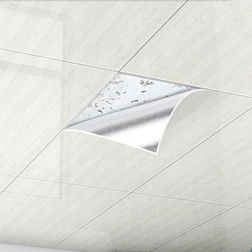 MLYAYE Dalle de Plafond Lot de 10 Dalles de Plafond en Vinyle Lisse, Autocollantes, pour Chambres, Cuisines et plafonds, décoratives et résistantes à l'usure, en PVC.(#2)