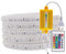220V Bande LED, 5050 SMD 60Leds/m Multicolore RGB Ruban LED Avec 24 touches Télécommande, IP65 Waterproof Flexible Magic Dream Couleur Silicone Néon Cordon Lumineux pour Fête Décor Noël (1m)