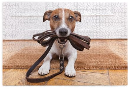Hunde Jack Russell Terrier Tiere, Puzzles 1000 Teile Holzpuzzle Spielzeug Familienspiel Wanddekoration