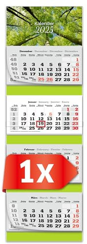 PRIMUS PRINT XXL Kalender 2025 - Mehrblock Wandkalender - 4-Monatskalender - Jahres Blockkalender - mit Datum Schieber - inklusive Feiertagen und Ferien - verschiedene Motive - [ 1x Bäume ]