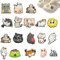 GANILITY 18PCS Katze Shoe Charm, Katze Schuh Pins Stecker Aufstecker Anstecker Set, Cartoon Katze Schuh Charms, Pvc Shoe Charms Katzendesign