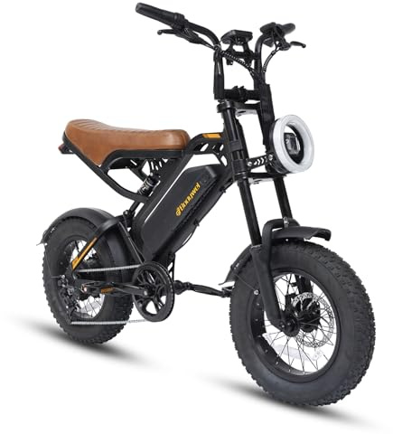 Bodywel M16 Fat Tire Electric Bike For Adult, 48V 13AH Removable Battery, 250W Brushless Motor, LCD Display, Dual Suspension, Disc Brakes, Headlight, Indicators for All Terrain