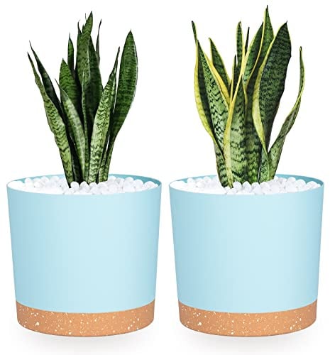 QCQHDU Plant Pots Set of 2 Pack 8 inch,Planters for Indoor Plants with Drainage Holes and Removable Base,Saucer Modern Decorative for Outdoor Garden Planters(LightBlue 8in)