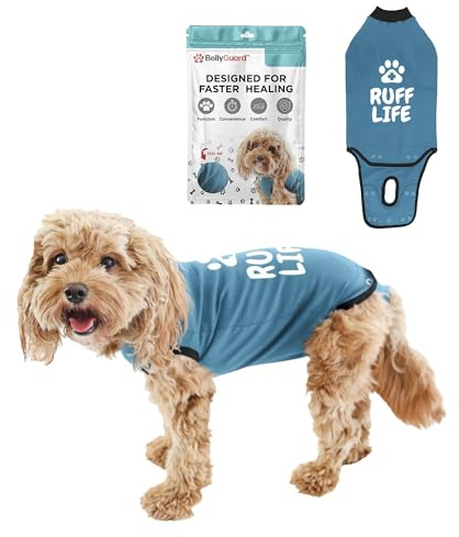 BellyGuard - After Surgery Dog Recovery Onesie, Post Spay, Neuter, Body Suit for Male and Female Dogs, Comfortable Cone alternative for Large and Small Dogs, Soft Cotton Covers Wound, Stitches, XS