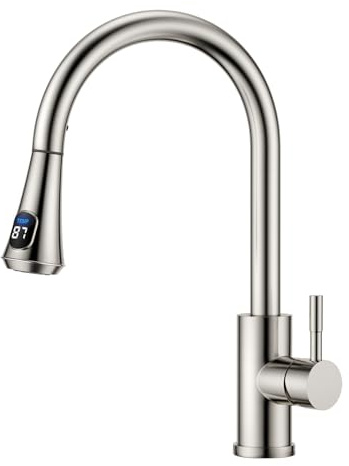 FORIOUS Kitchen Sink Taps, Digital Kitchen Tap with LED Sprayer Head Temperature Digital Display, Stainless Steel