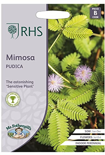 Mimosa 'Pudica' Seeds RHS Indoor Perennial