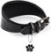 FAVPET Luxus Echtleder Windhund Halsband Breit mit QR Code Anhänger, Weiches Lederhalsband Hund Breit Whippet Italienisches Windspiel Saluki Lurcher Spanischer Galgo Greyhound Podenco (Schwarz, L)