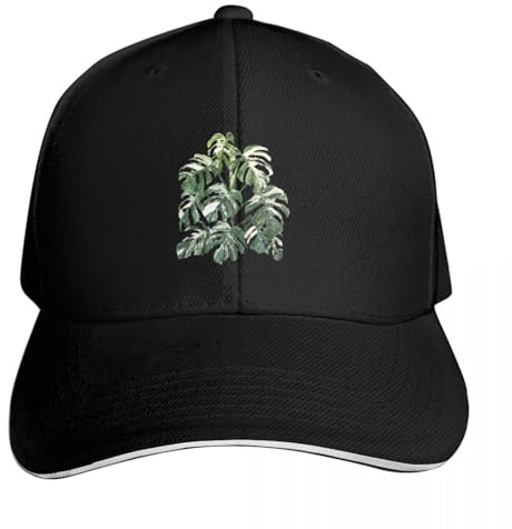 YMAEPXFH Monstera Deliciosa Borsigiana Albo Variegata Nouveau dans Le Chapeau Mignon Femme Hommes en Bonne Santé Élégant Voyage Jeune Surprise Calme Mariage Rencontre